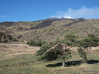 Monte_Nero_degli_Zappini - 08-11-2012 14-38-46.JPG